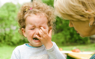 Herausfordernde Kinder – herausgeforderte Pädagog:innen