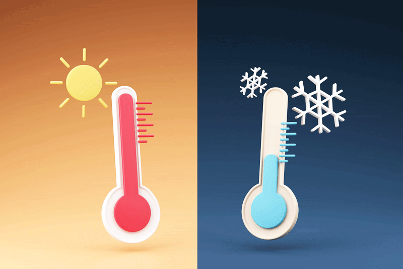 Wir gehen der Jahreszeit auf den Grund